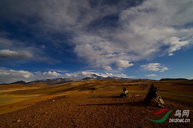 DOS_54881.jpg