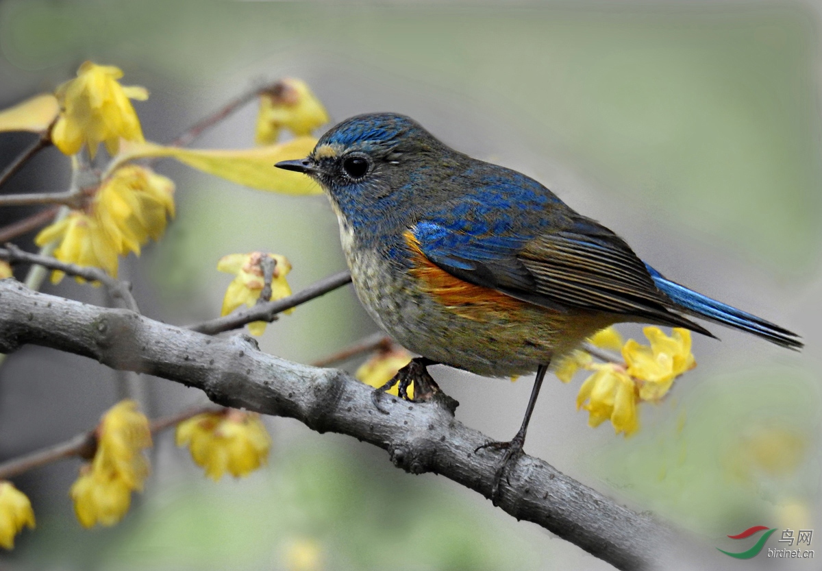 DSCN9203 ����.jpg