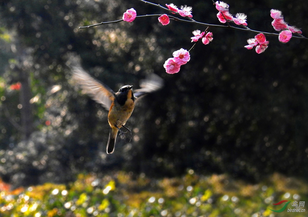 DSCN9610 ����.jpg