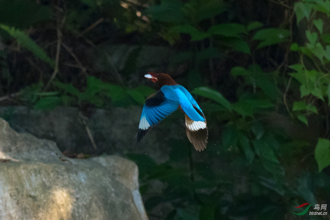 EM265816-ac.jpg