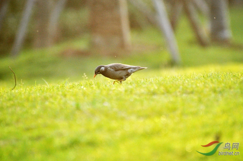 DSC_0052.jpg