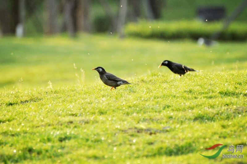 DSC_0041.jpg