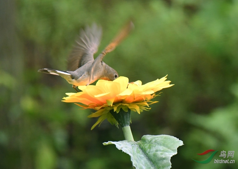DSC_5944.JPG