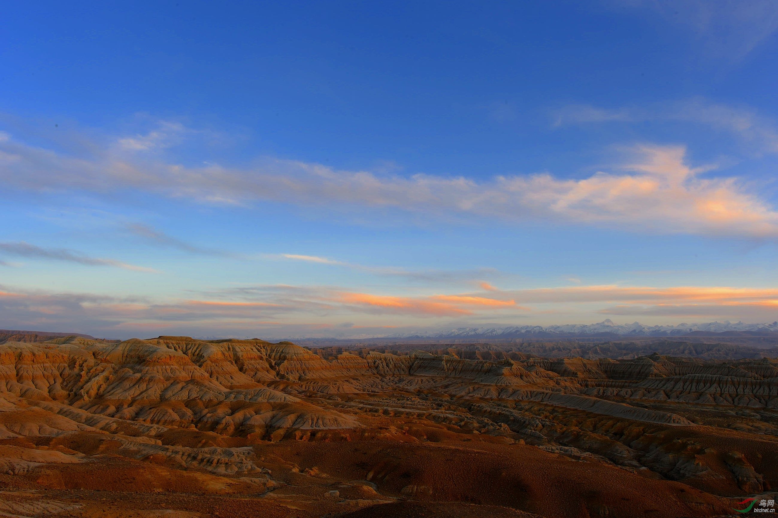 DSC_1650_����1.jpg