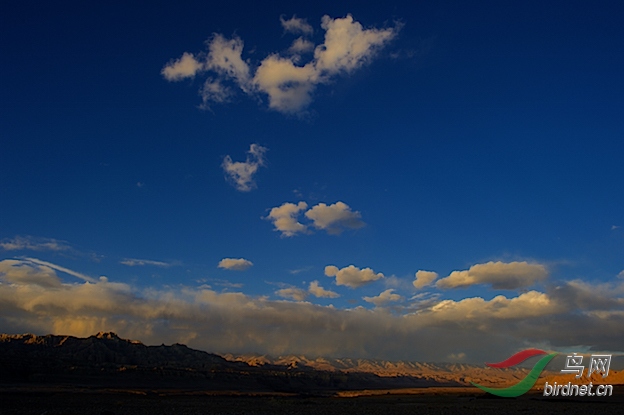 DOS_66201.jpg