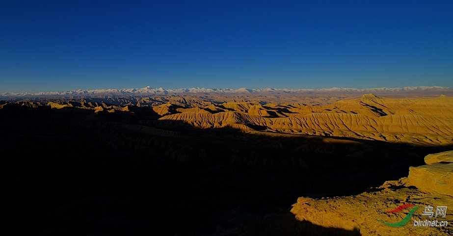 DOS_72821.jpg