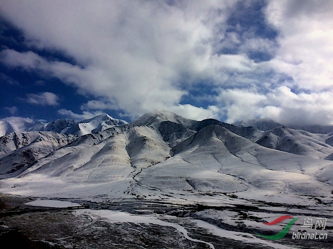 IMG_19481.jpg