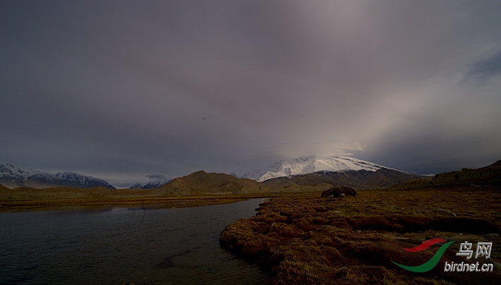 DOS_04671.jpg