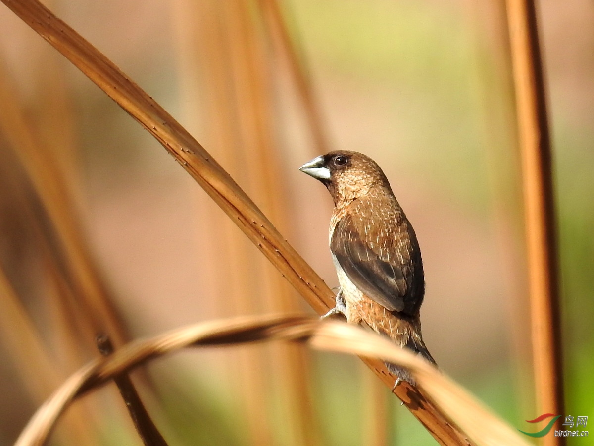 ����15��