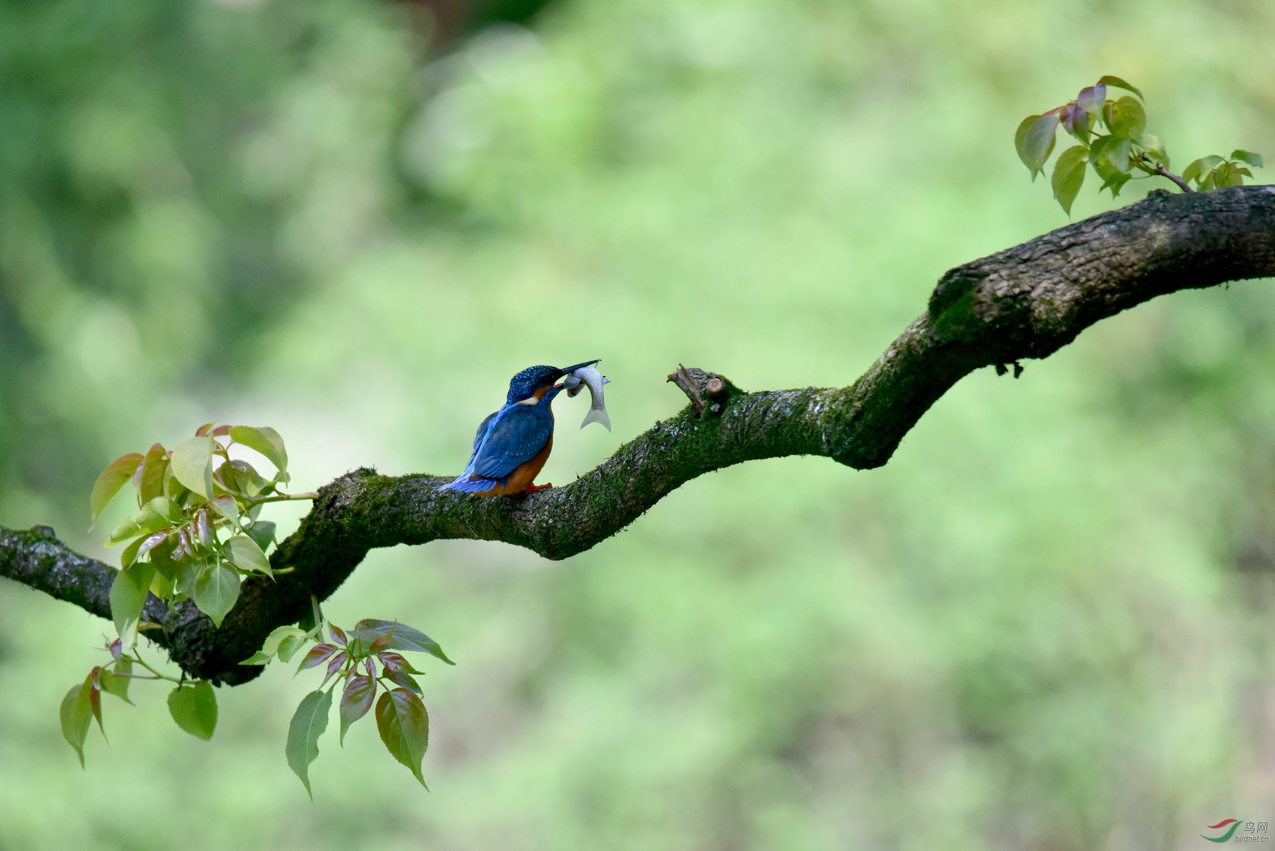 DSC_4646.JPG