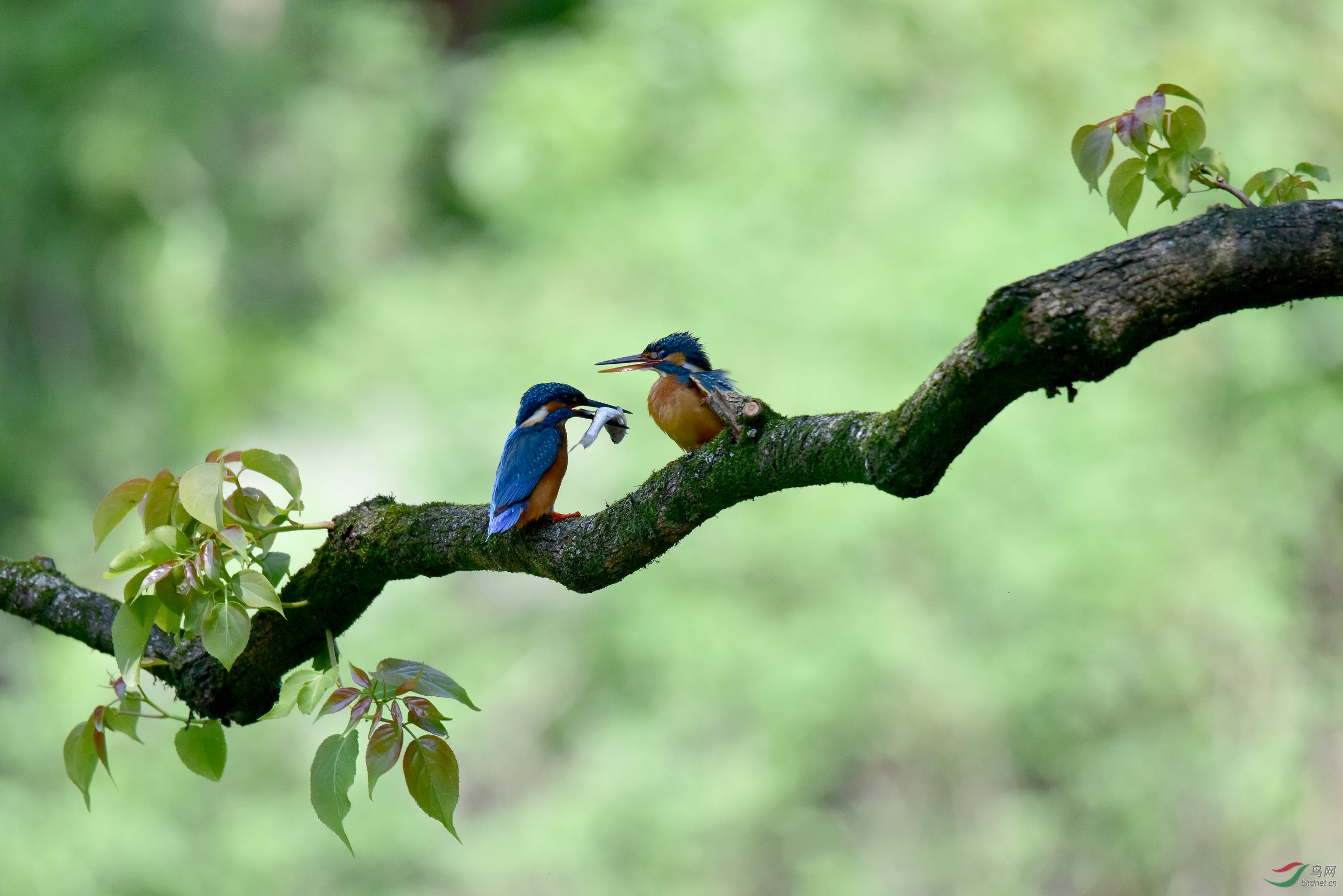 DSC_4648.JPG