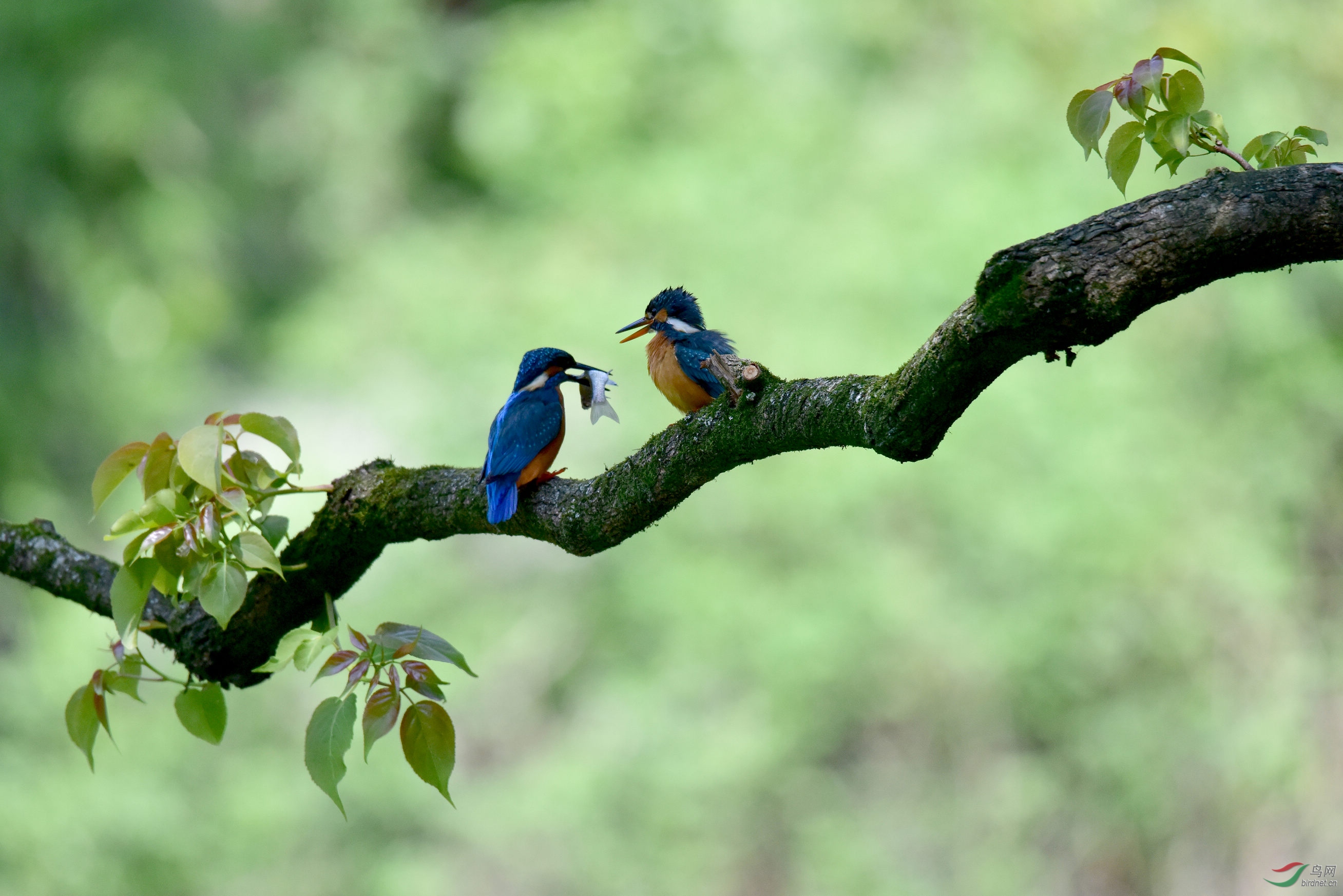 DSC_4649.JPG