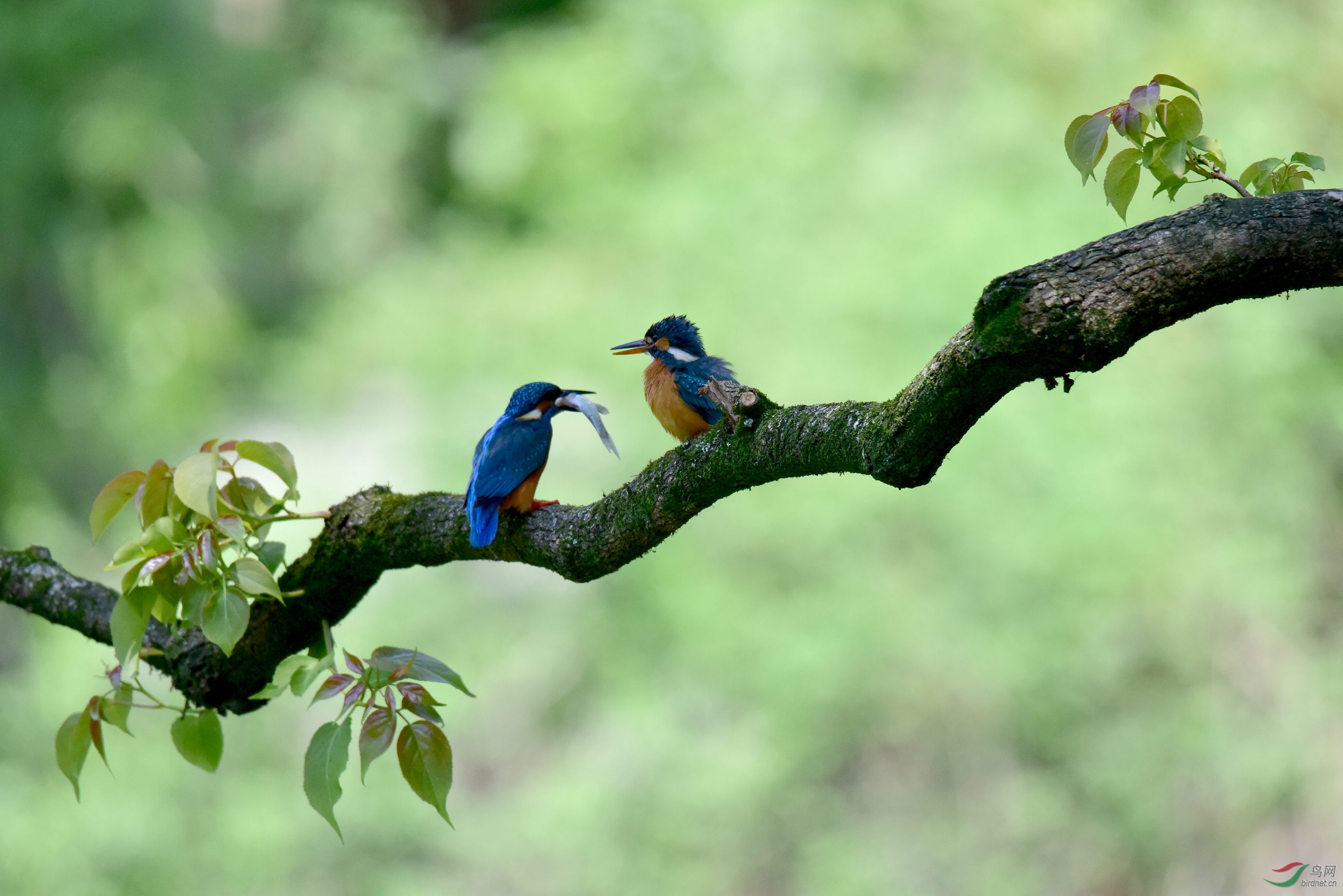 DSC_4651.JPG