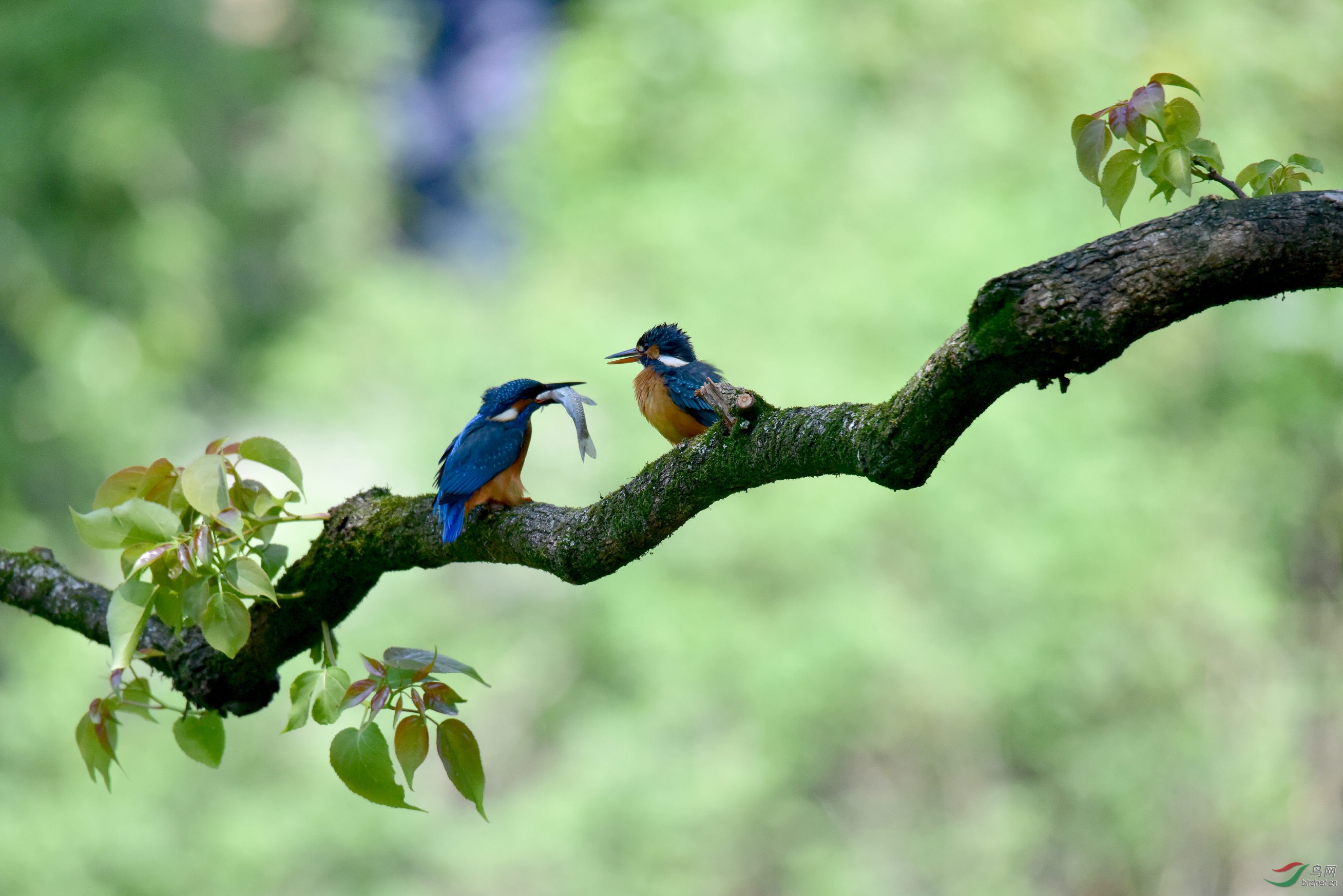 DSC_4652.JPG