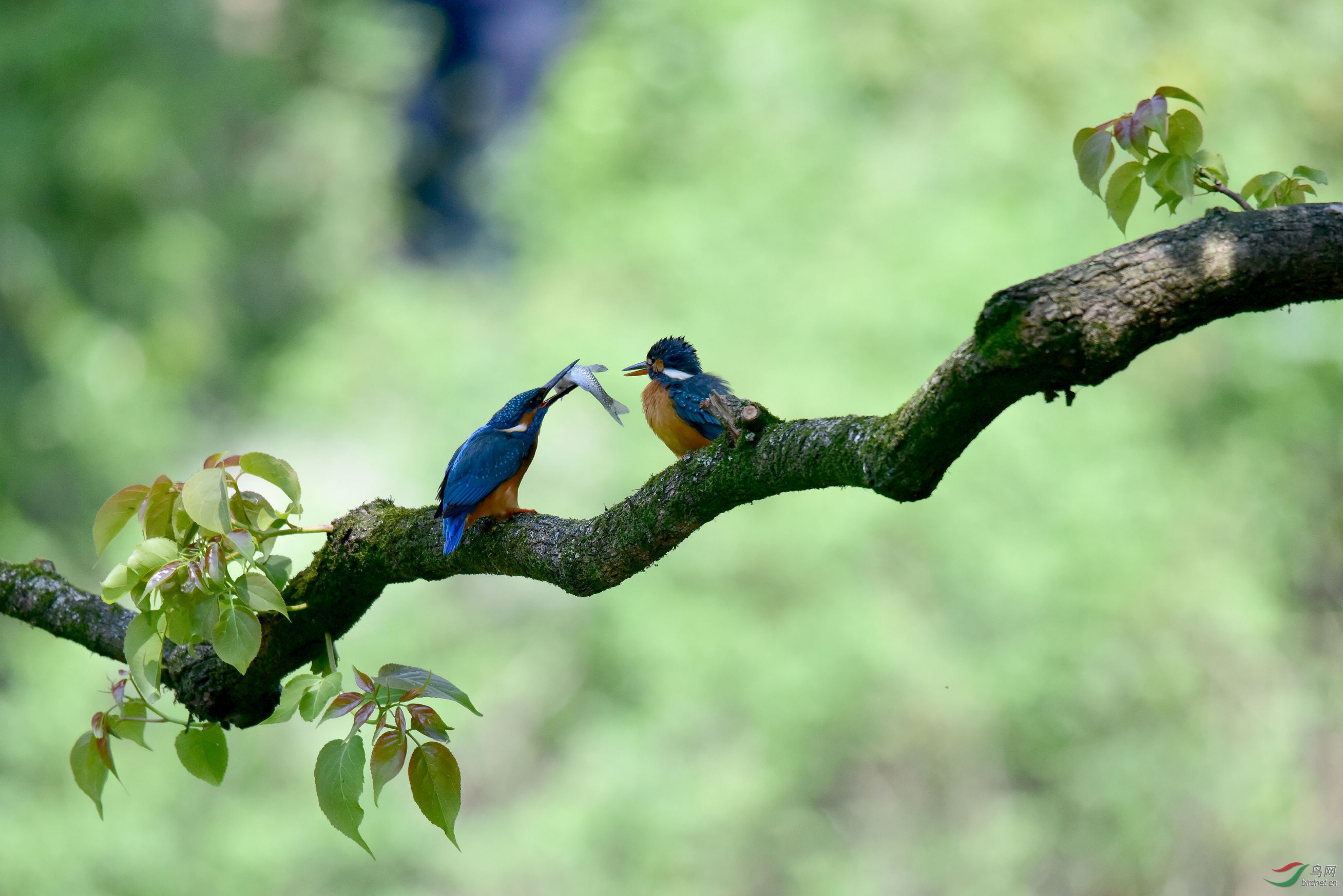 DSC_4653.JPG