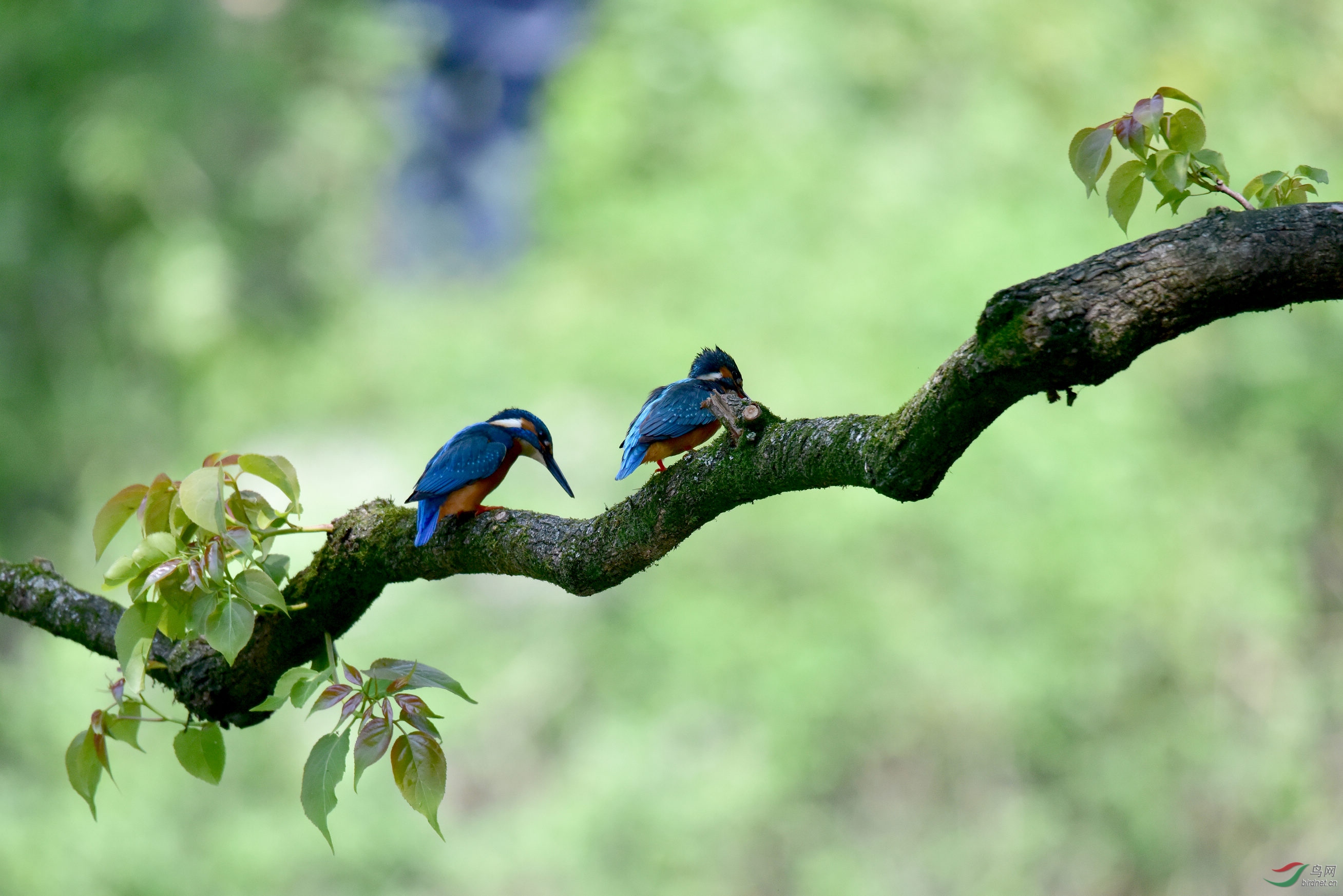 DSC_4655.JPG