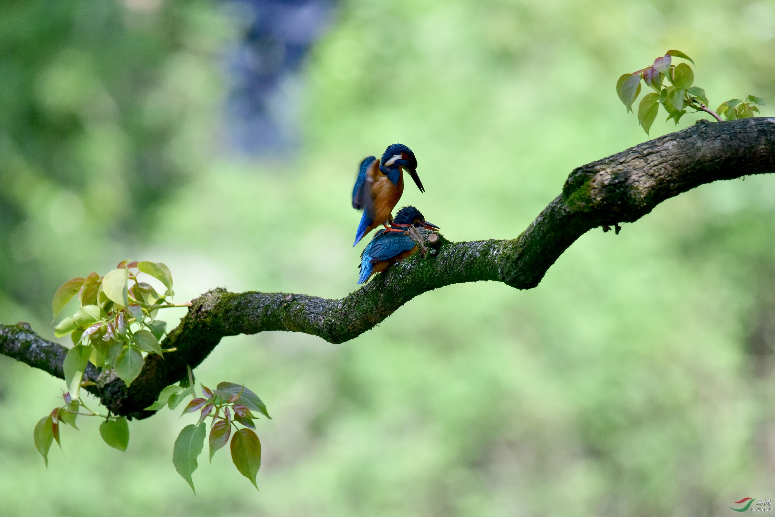 DSC_4656.JPG