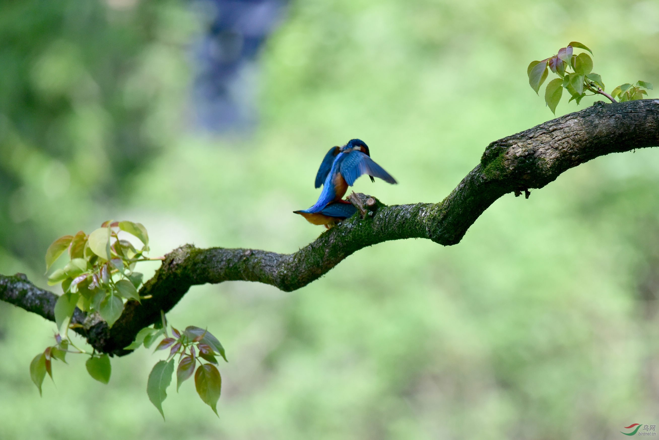 DSC_4657.JPG