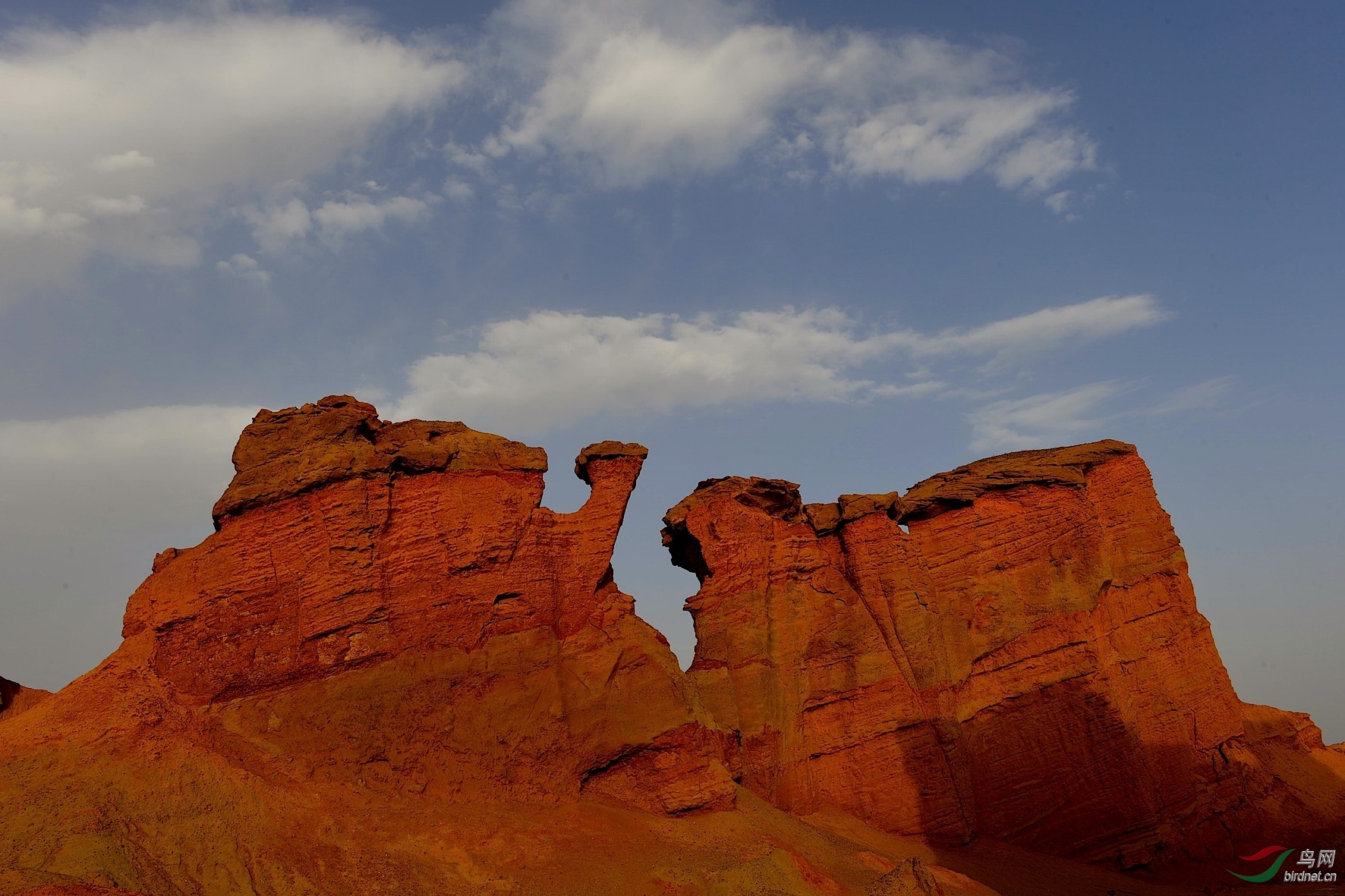DSC_3096_����1.jpg