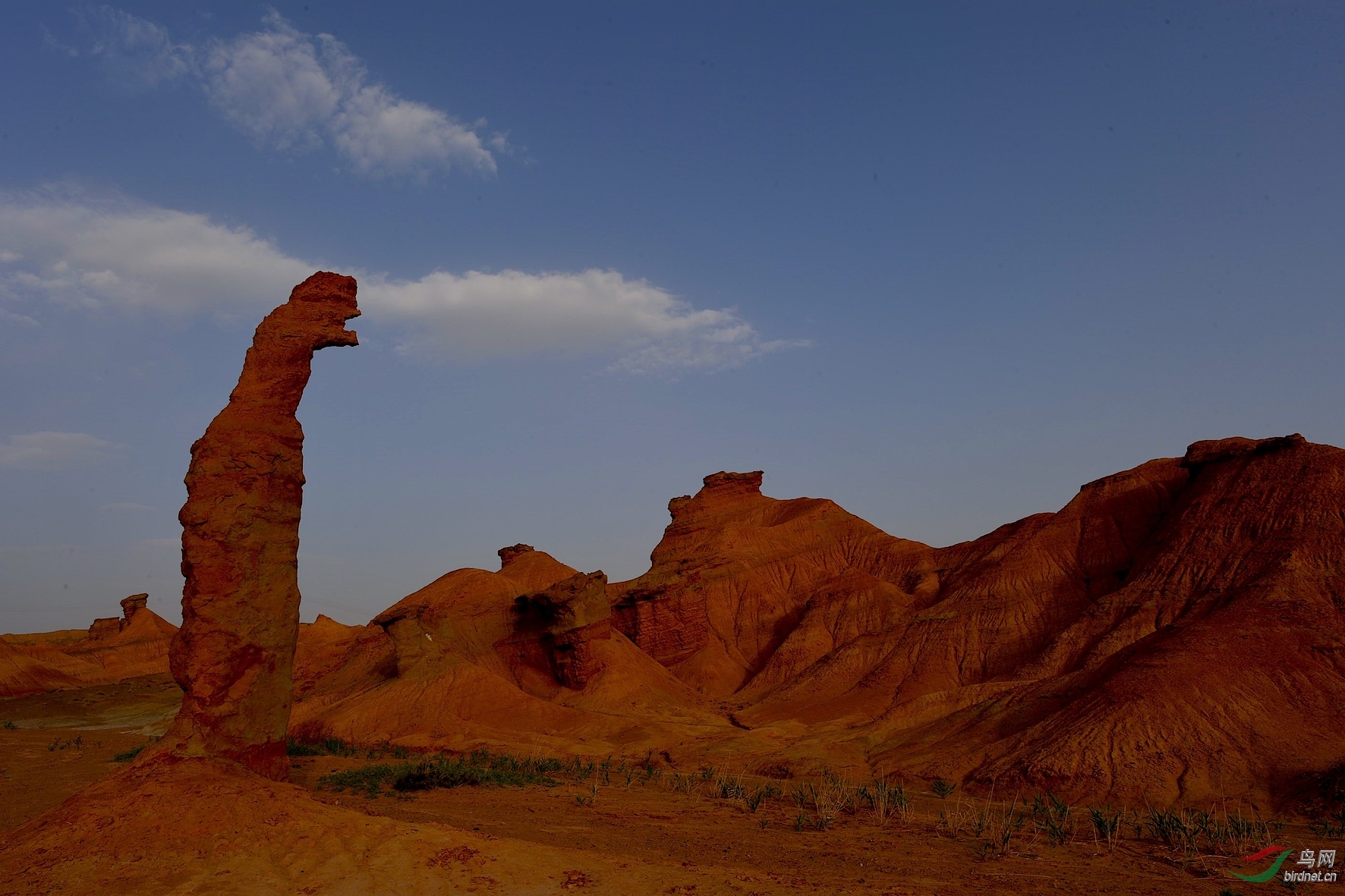 DSC_3127_����1.jpg