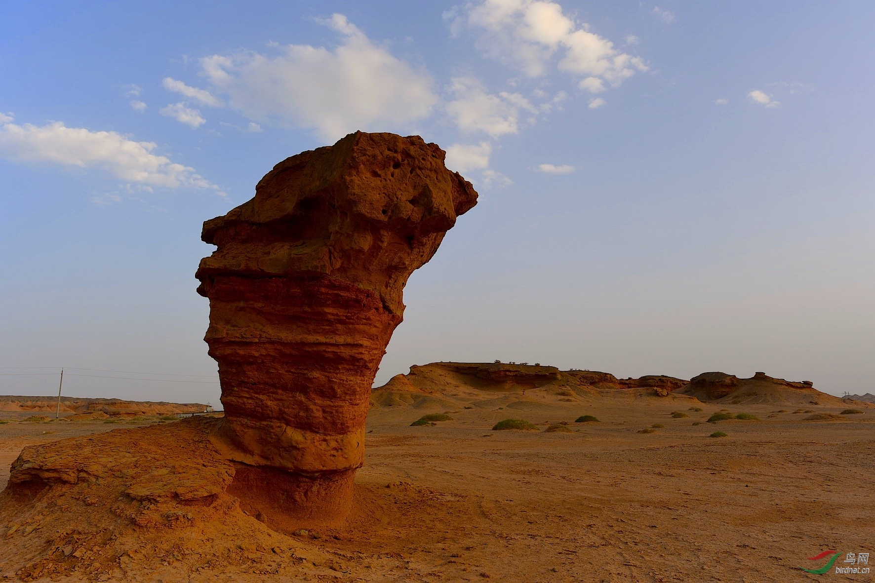 DSC_3214_����1.jpg