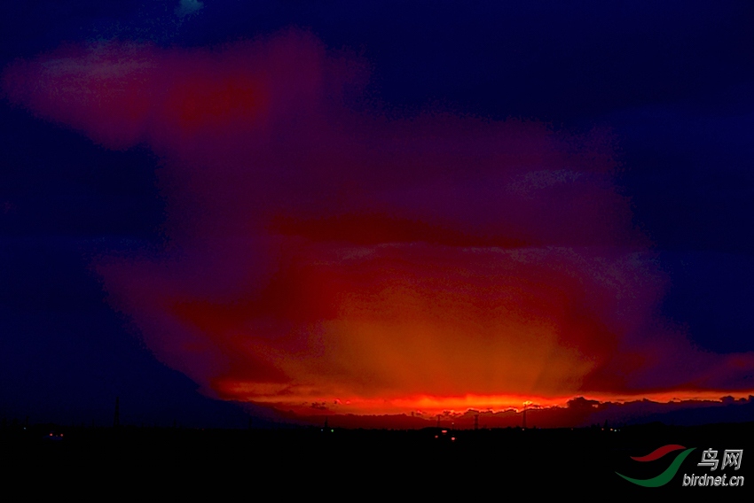 DSC_76791.jpg