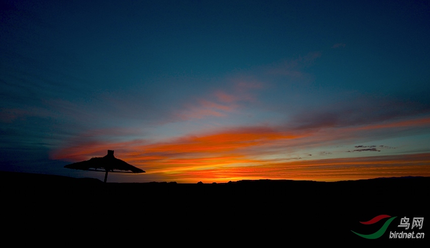 DSC_79051.jpg