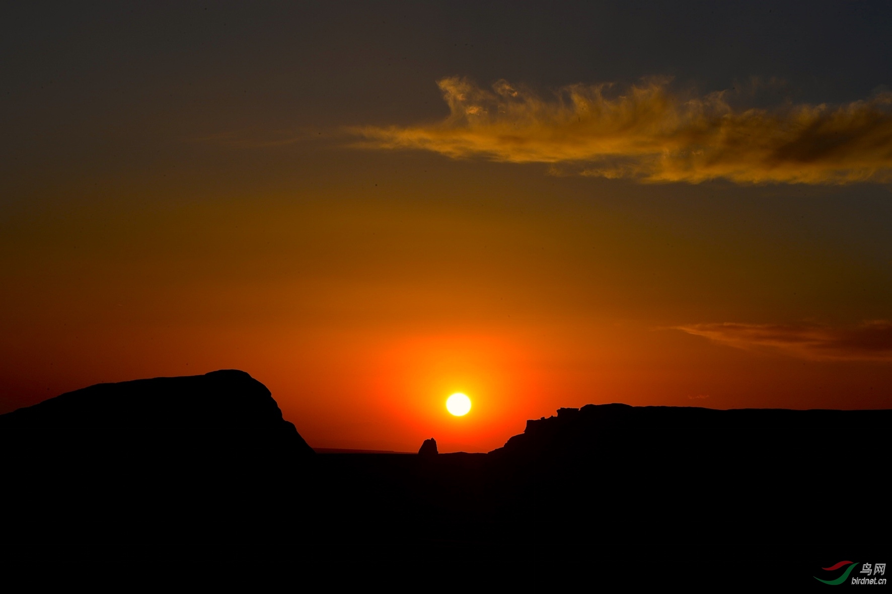 DSC_3878_����1.jpg