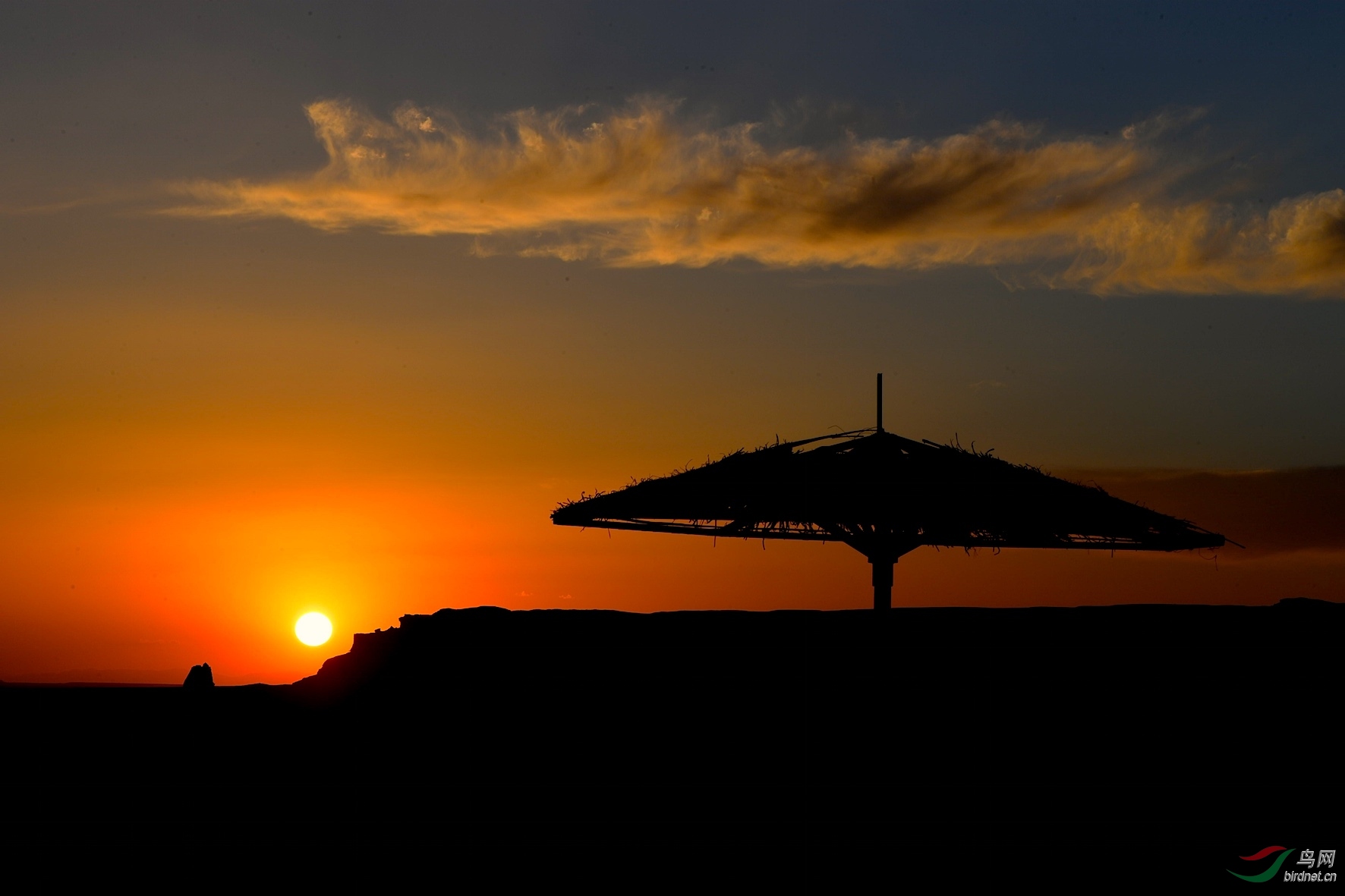 DSC_3887_����1.jpg