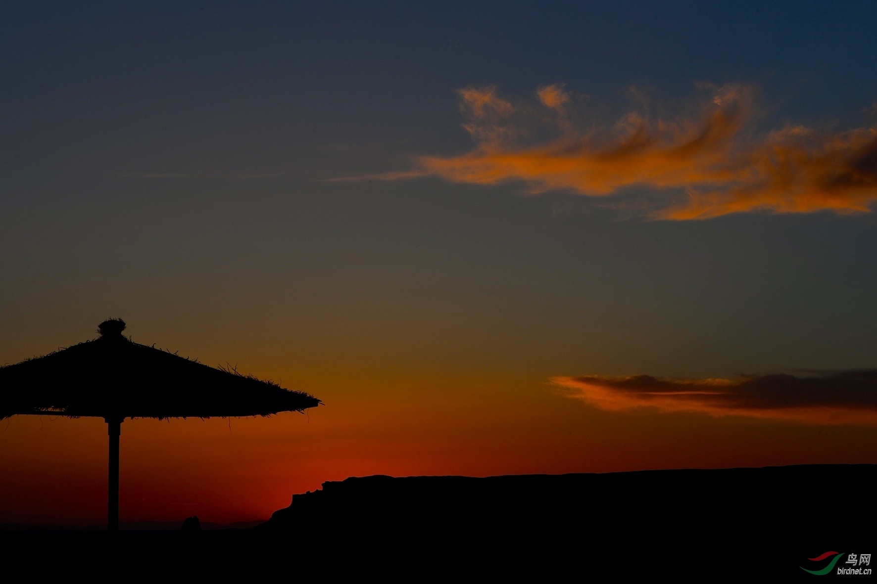 DSC_3917_����1.jpg