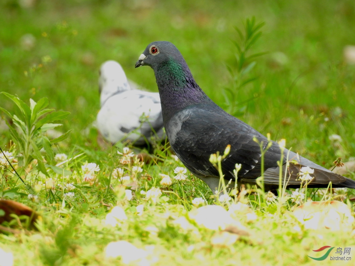 �������20��