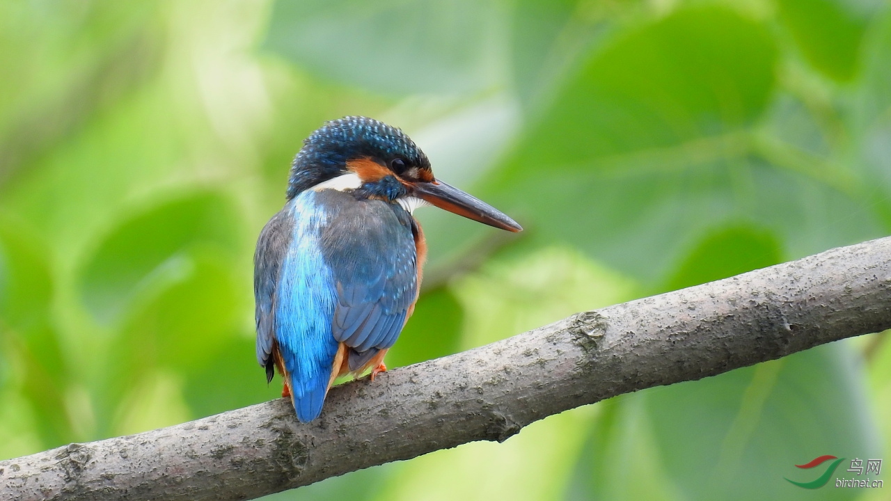 ����15��