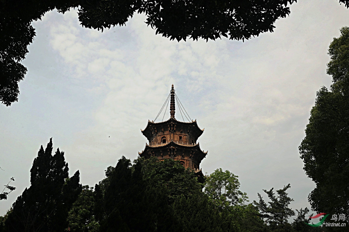 BW6I7833_����.jpg