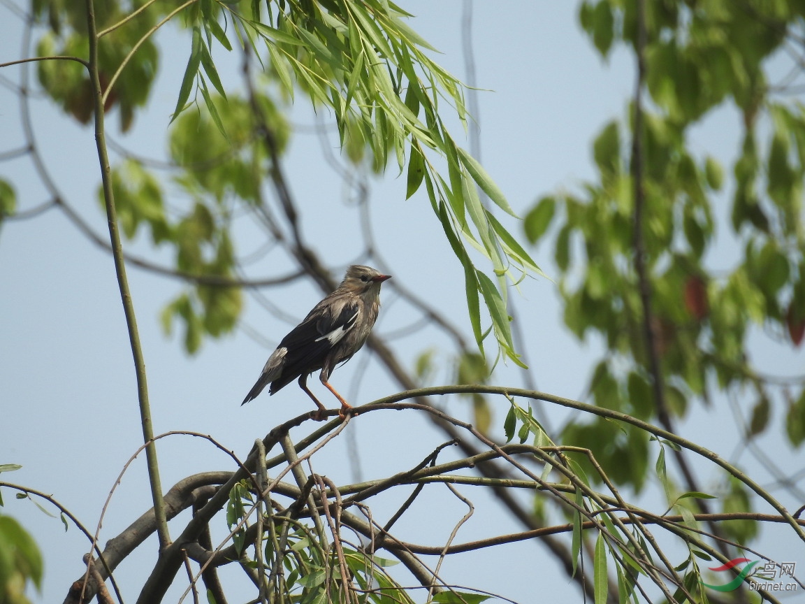 ����Լ50��