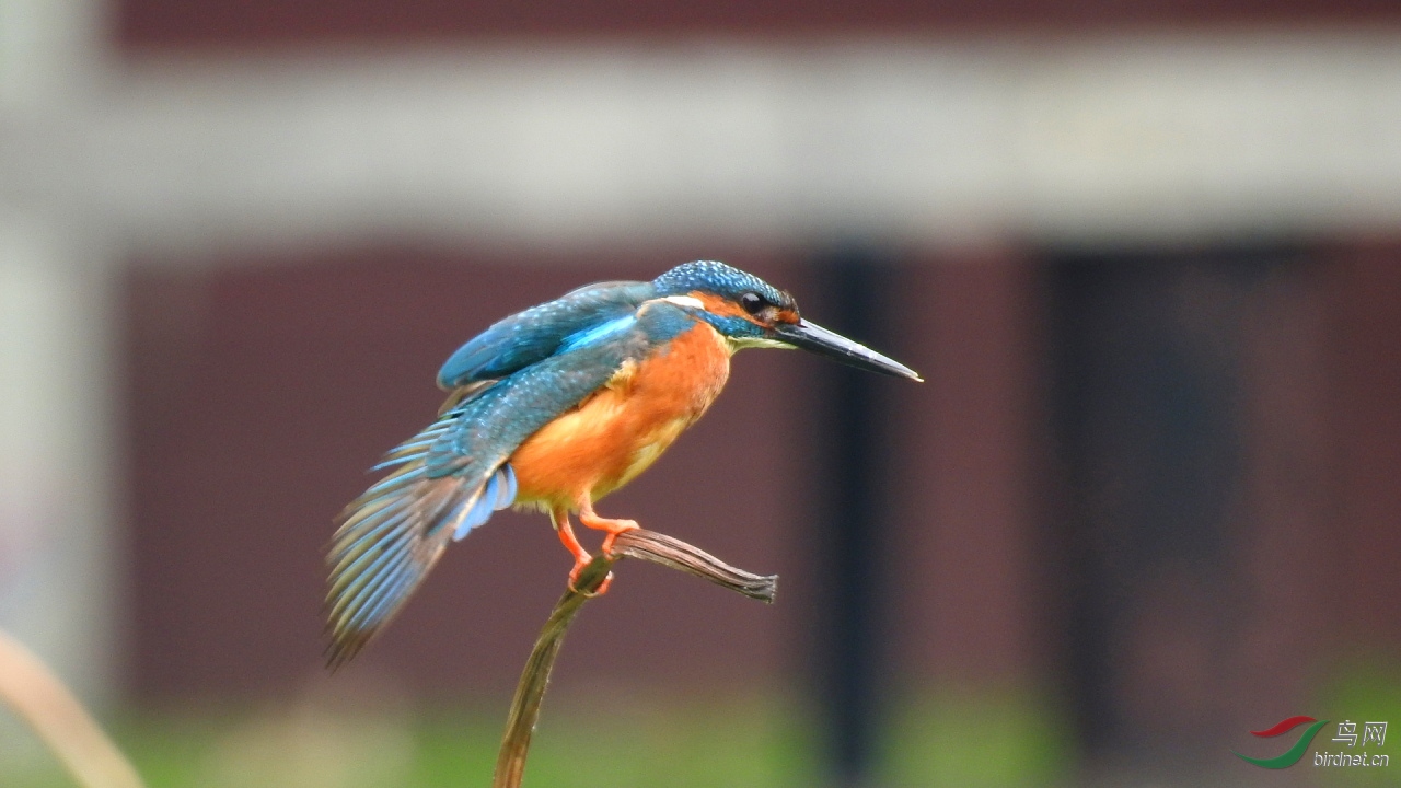 ����Լ25��