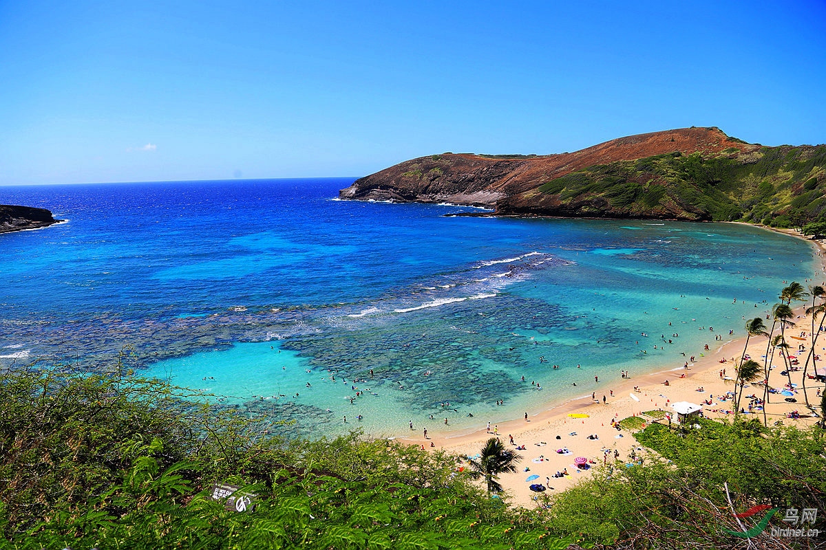 夏威夷恐龙湾