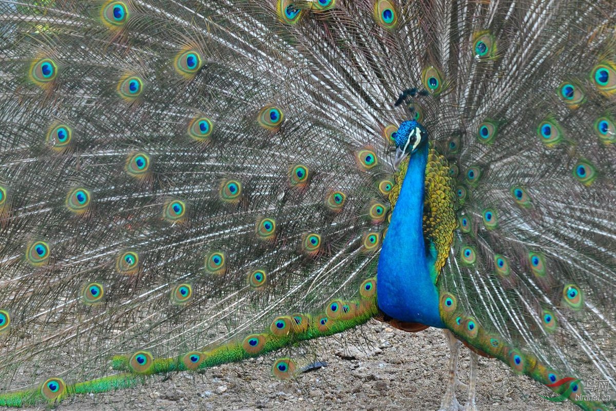 DSC_0976.JPG