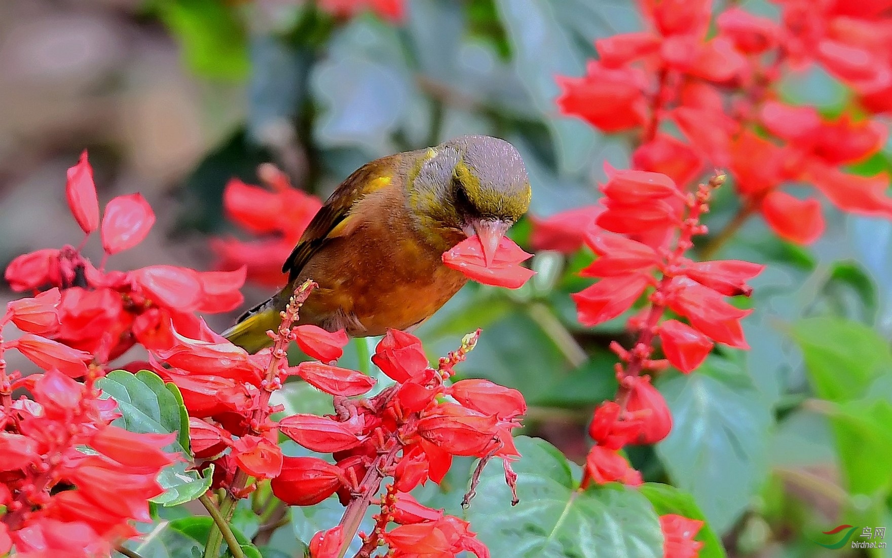 DSC_8626_���� (����)_DxO (����).jpg