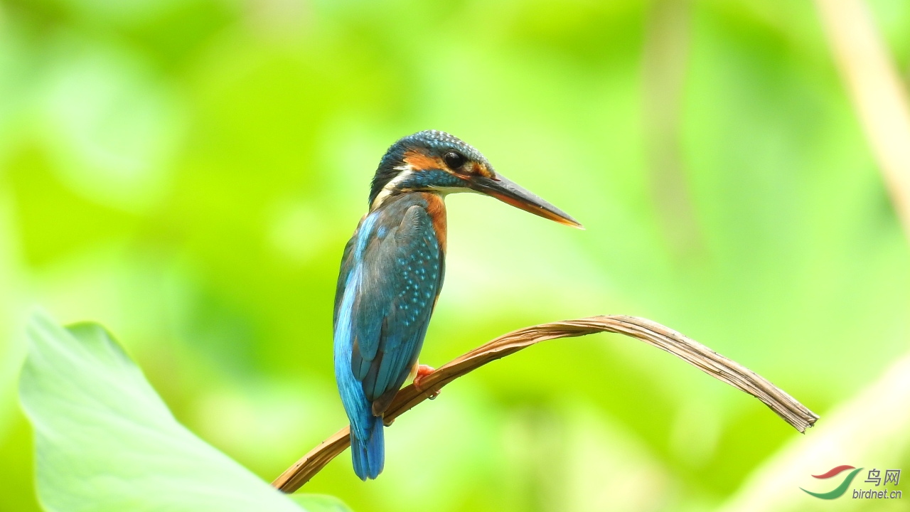 ����Լ15��