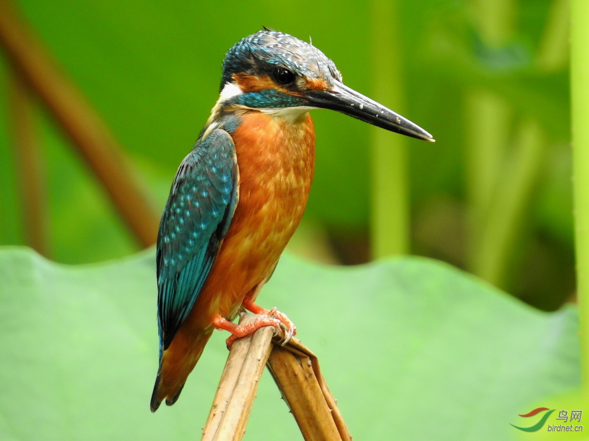 ����Լ8��