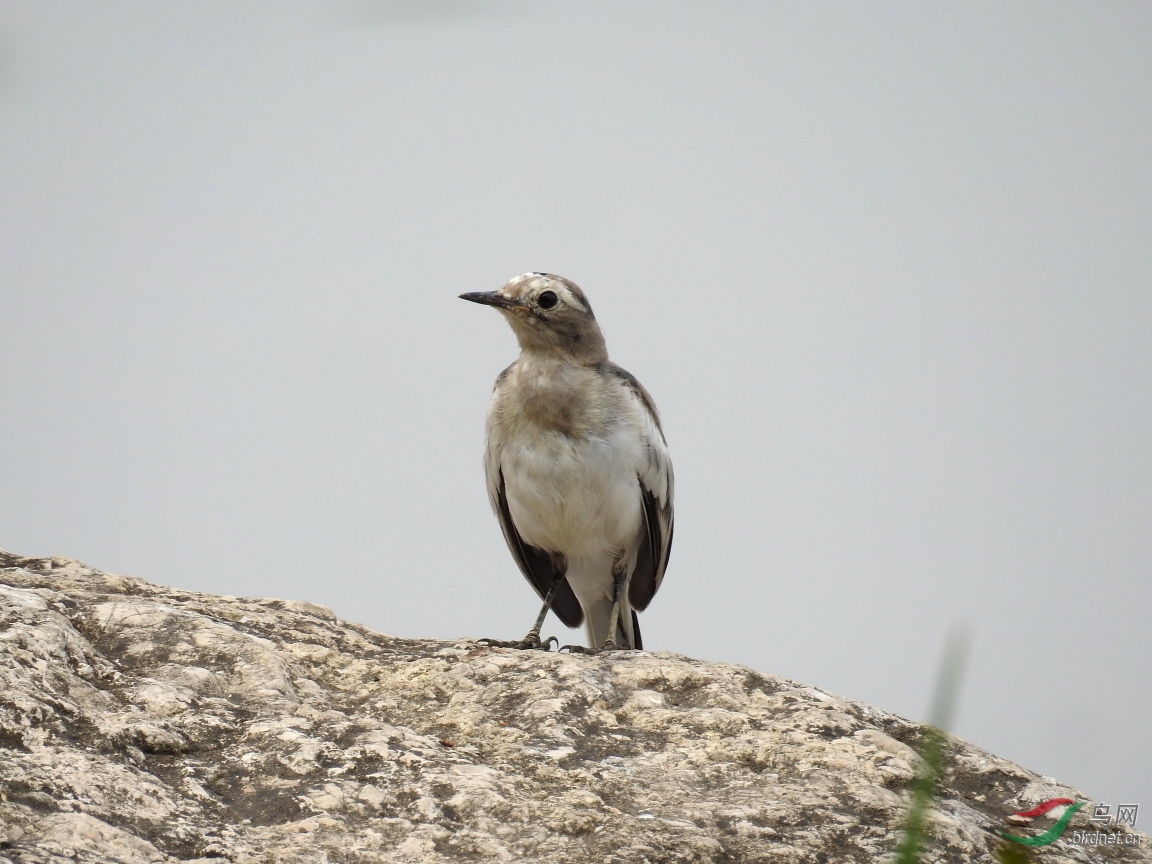 DSCN1691.JPG
