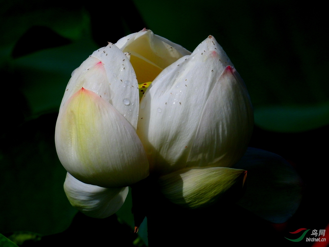 ����20��