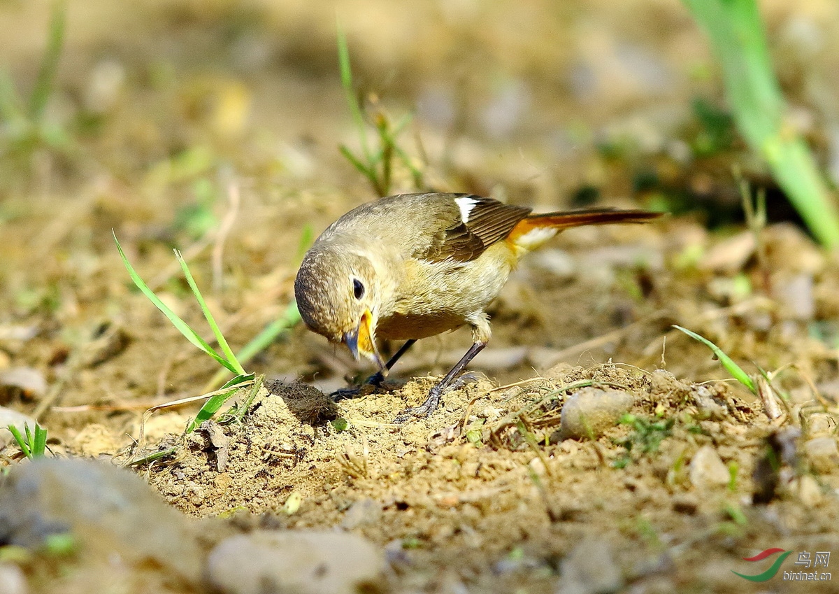 img_2192 - 副本.jpg