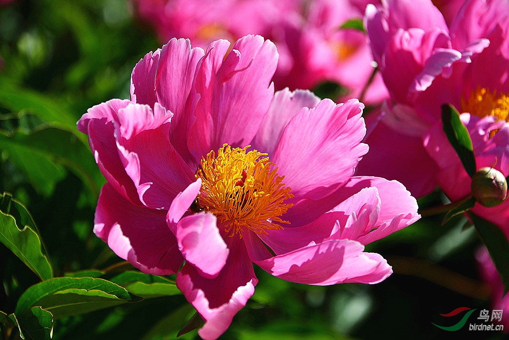 DSC_3228.jpg