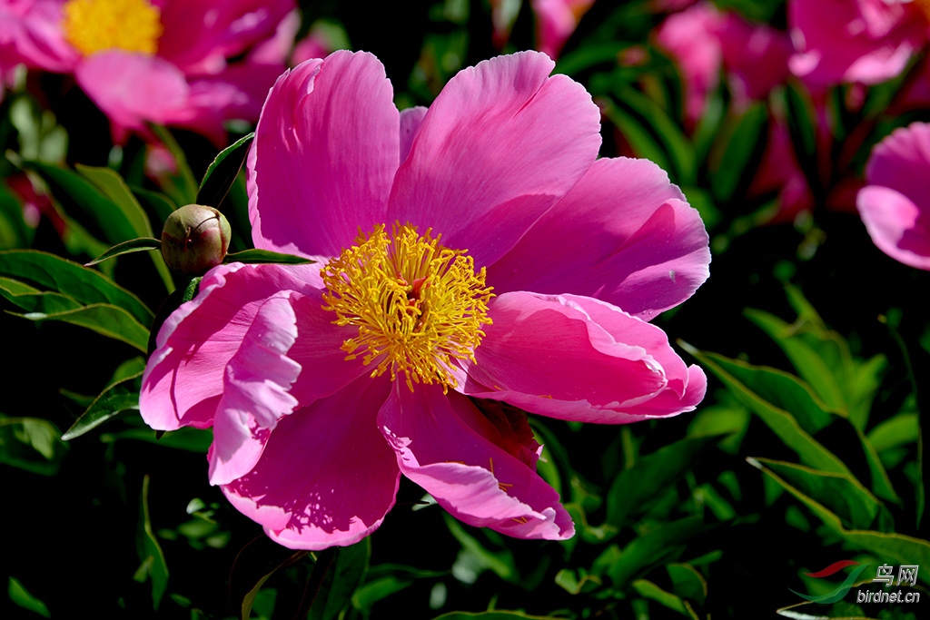 DSC_3325.JPG