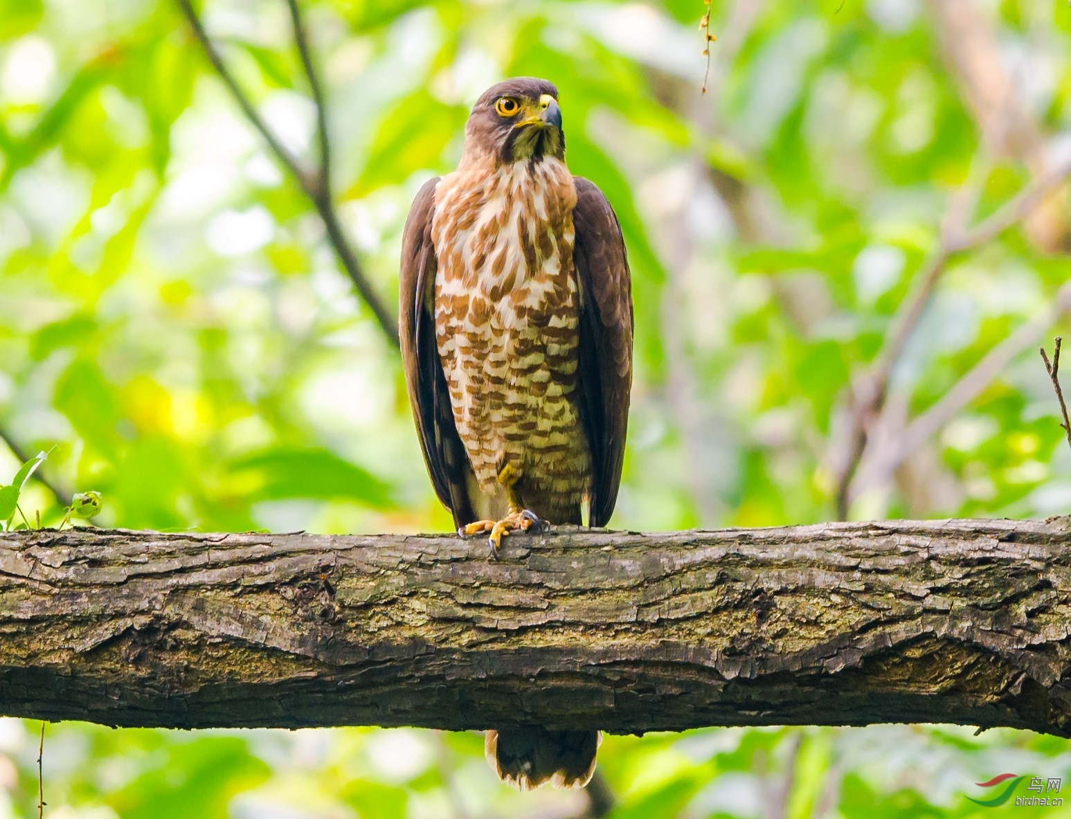 DSC_5090_����.jpg