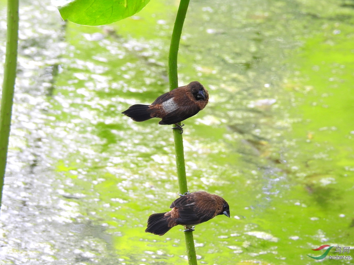 DSCN2665.JPG
