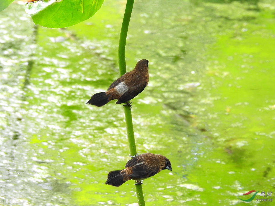 DSCN2668.JPG