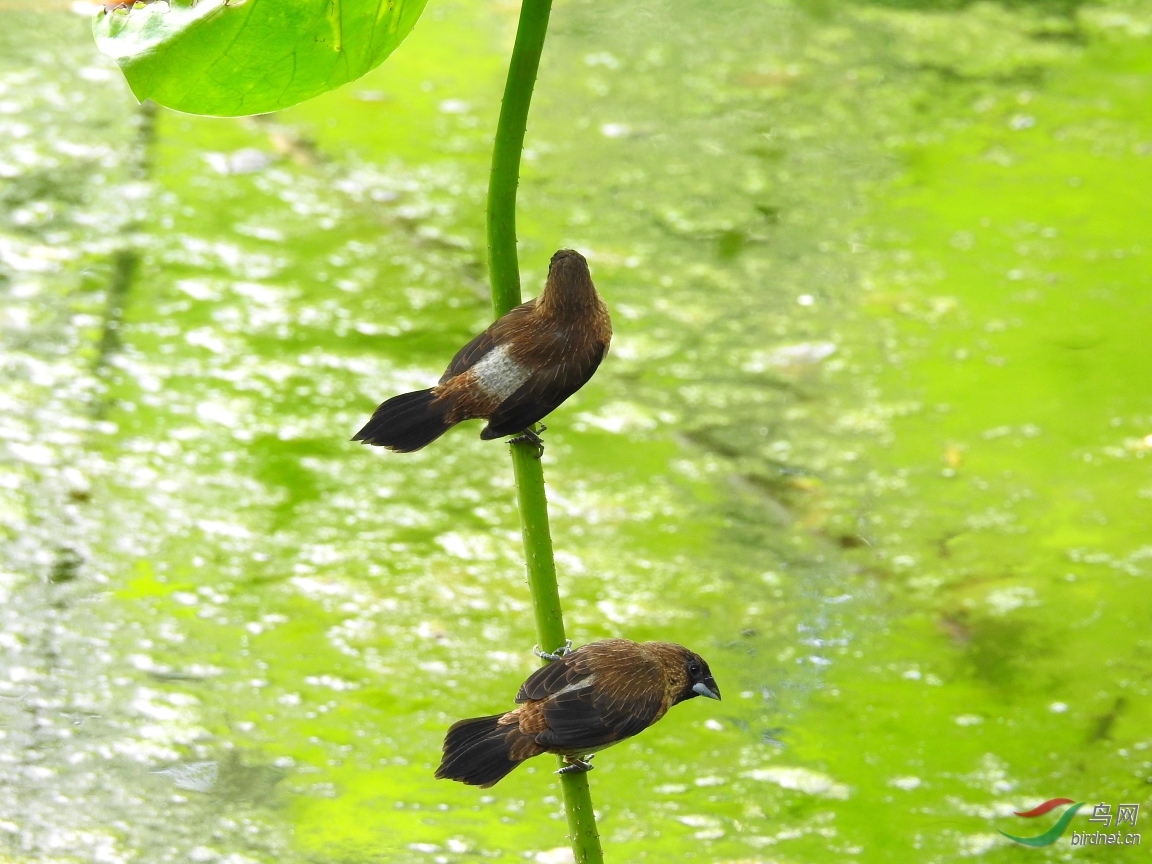 DSCN2669.JPG