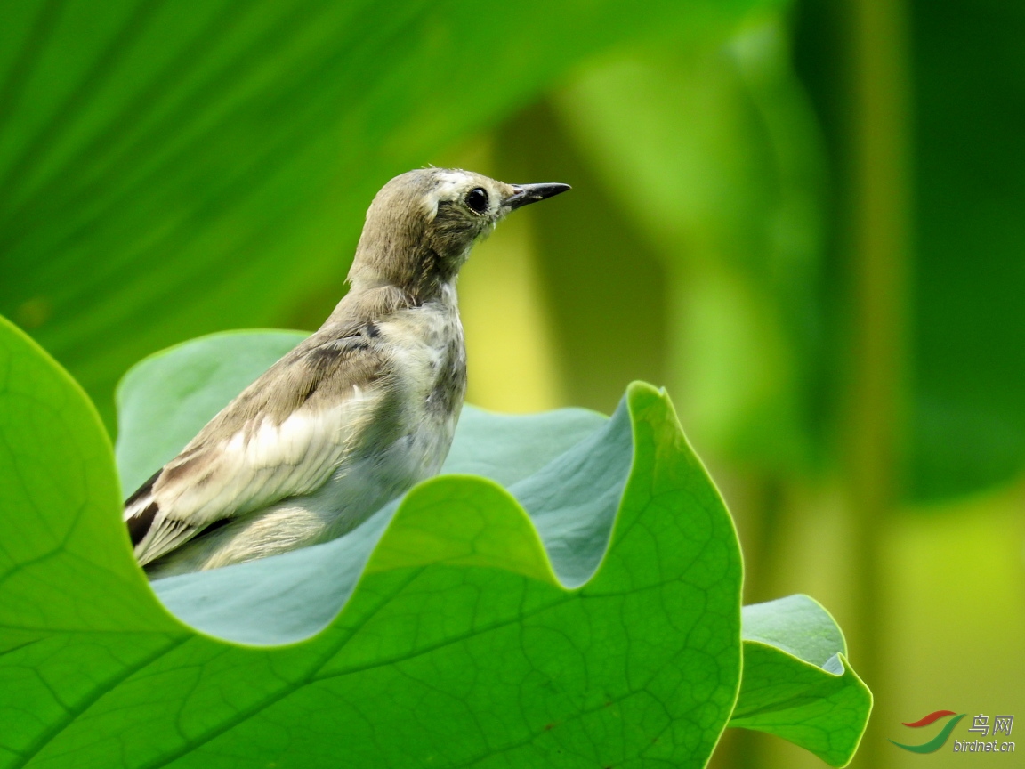 ����Լ7��